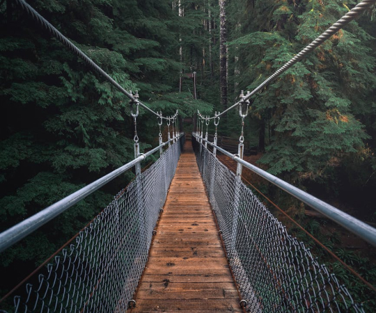 services-03 Services 03